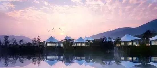 一号文件明确乡村旅游六大方向与六大保障 荒漠化生态修复及旅游开发的创新实践